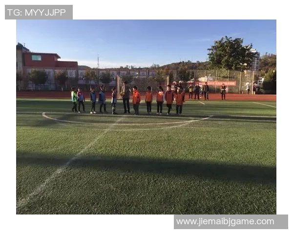 利比亚足球球星实力排行榜与历史最佳球员风采盘点